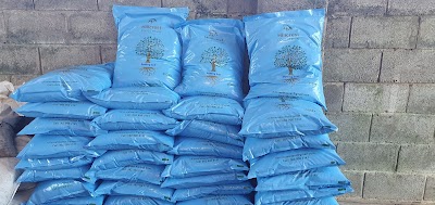 Hillcrest Equestrian Kidd's Beach