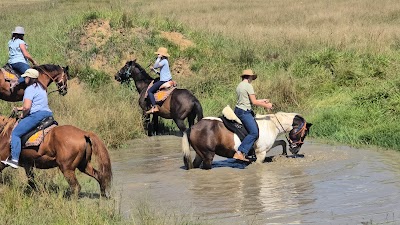 Stap en Drink Geselskap
