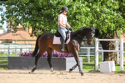 The Good Old Stable Yard