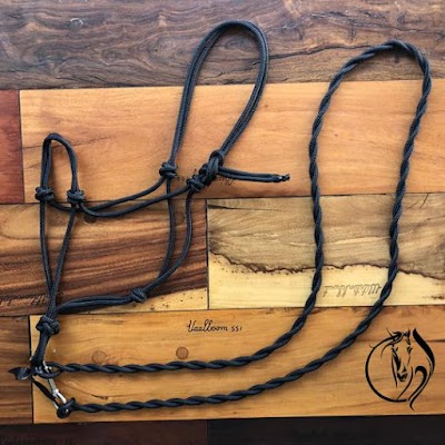 Shalom Equine Horsemanship