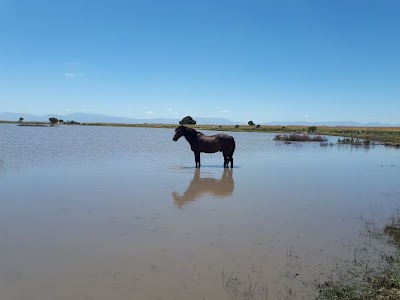 Milkwood Horse Trails