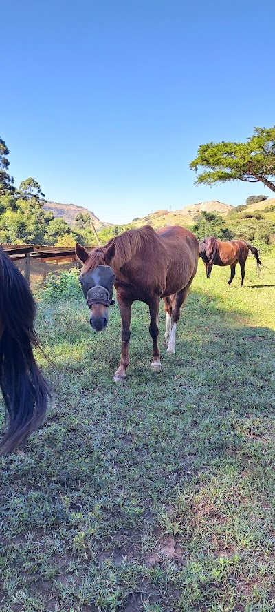 Thelwells Equestrian Centre