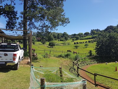 Ridgetop Equestrian Centre