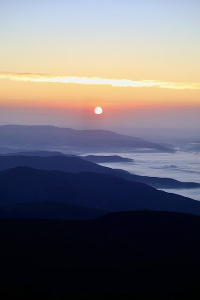 Liversage Horse Trails