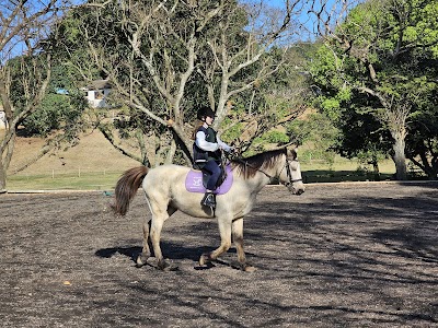 Rocking Horse Equestrian Centre