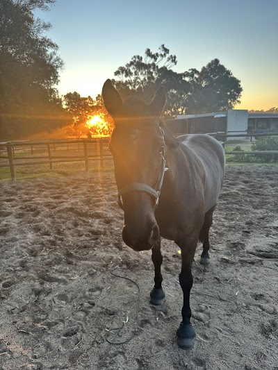 Brockenhurst Equestrian