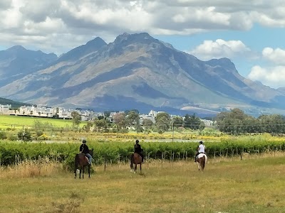 Equine Sport Centre for Horse Riding - Stellenbosch Winelands