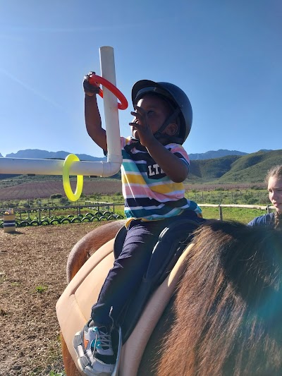 Breede Valley Equestrian