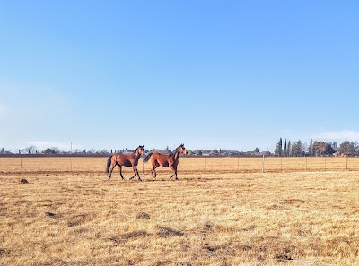 Hilltop Equestrian Centre