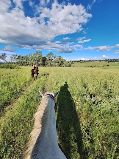 Dreamcatcher endurance stables