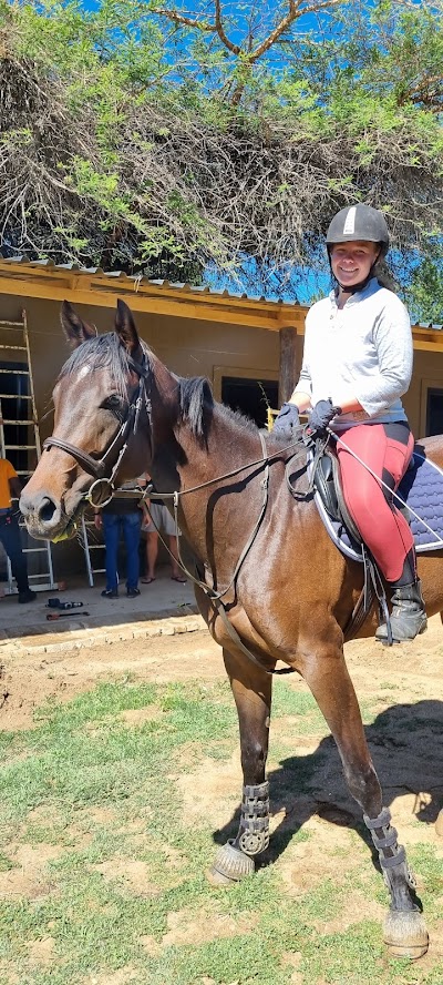 Stal Blommehof - Private Equestrian Estate