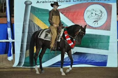 Resne - Resné Equine Training