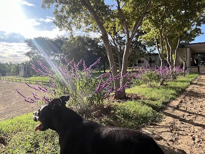 Stoneridge Equestrian