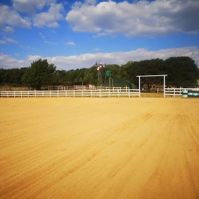 Opensky Pringle Equestrian