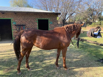 The Green Horse Club