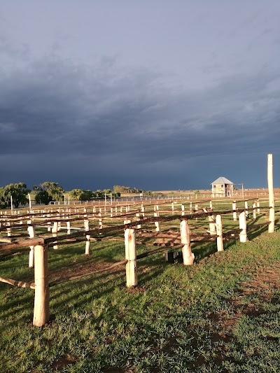 Maluti Western Riders