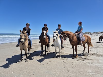 Drikus Horse Trails Paternoster