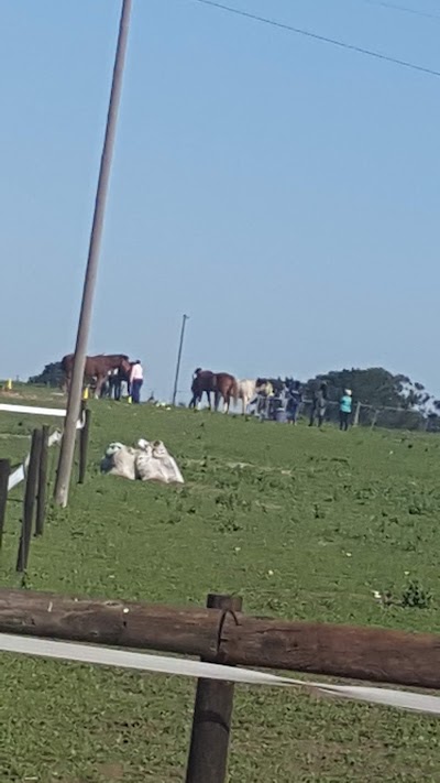 Peta's Place Equestrian Centre