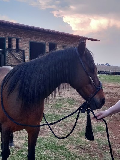 Pure Destiny Tack Shop