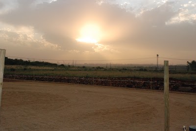 Diamond Creek Stables