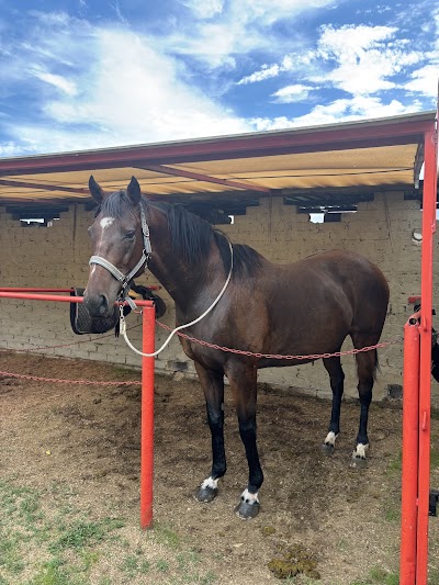 Happy Hooves Horse Riding Club