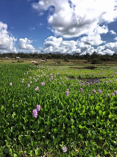 Navarre Equestrian Centre