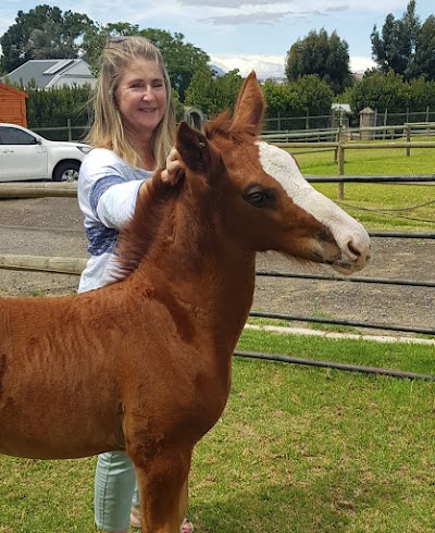 Chez Le Cheval Dansant