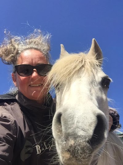 Milnerton Riding School & Livery Yard