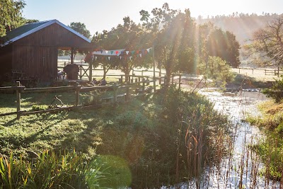 Boschrivier Farm & Stables