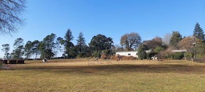 Dolcoed Equestrian Centre