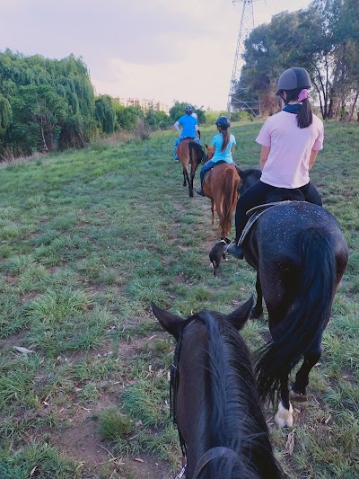 Rifkin Riding School