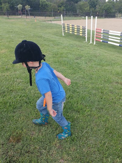 Spring Shoot Equestrian Centre