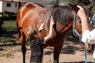The Horse and I Playground