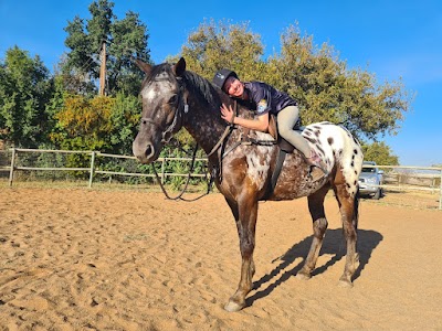 Rockridge Equestrian