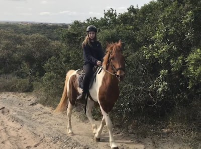 Beachcomber Horse Trails