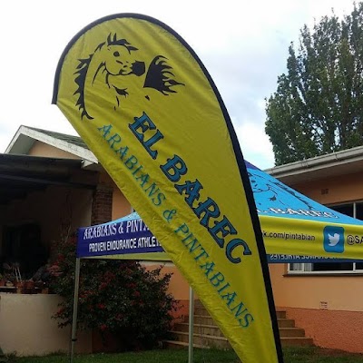 El Barec Arabians & Pintabians