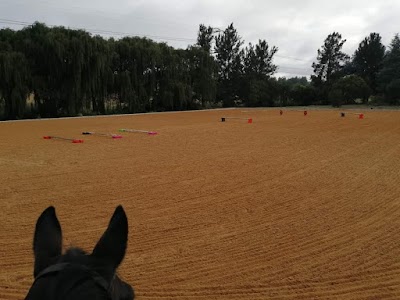 SK Equestrian