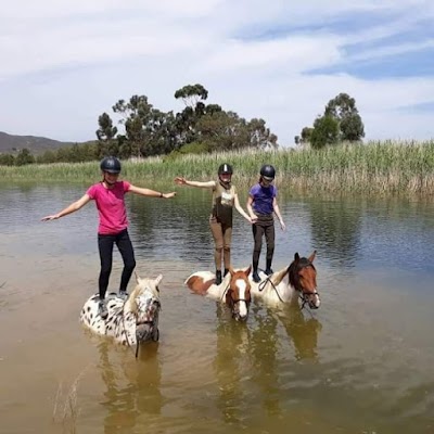 Painted Horse Riding Worcester